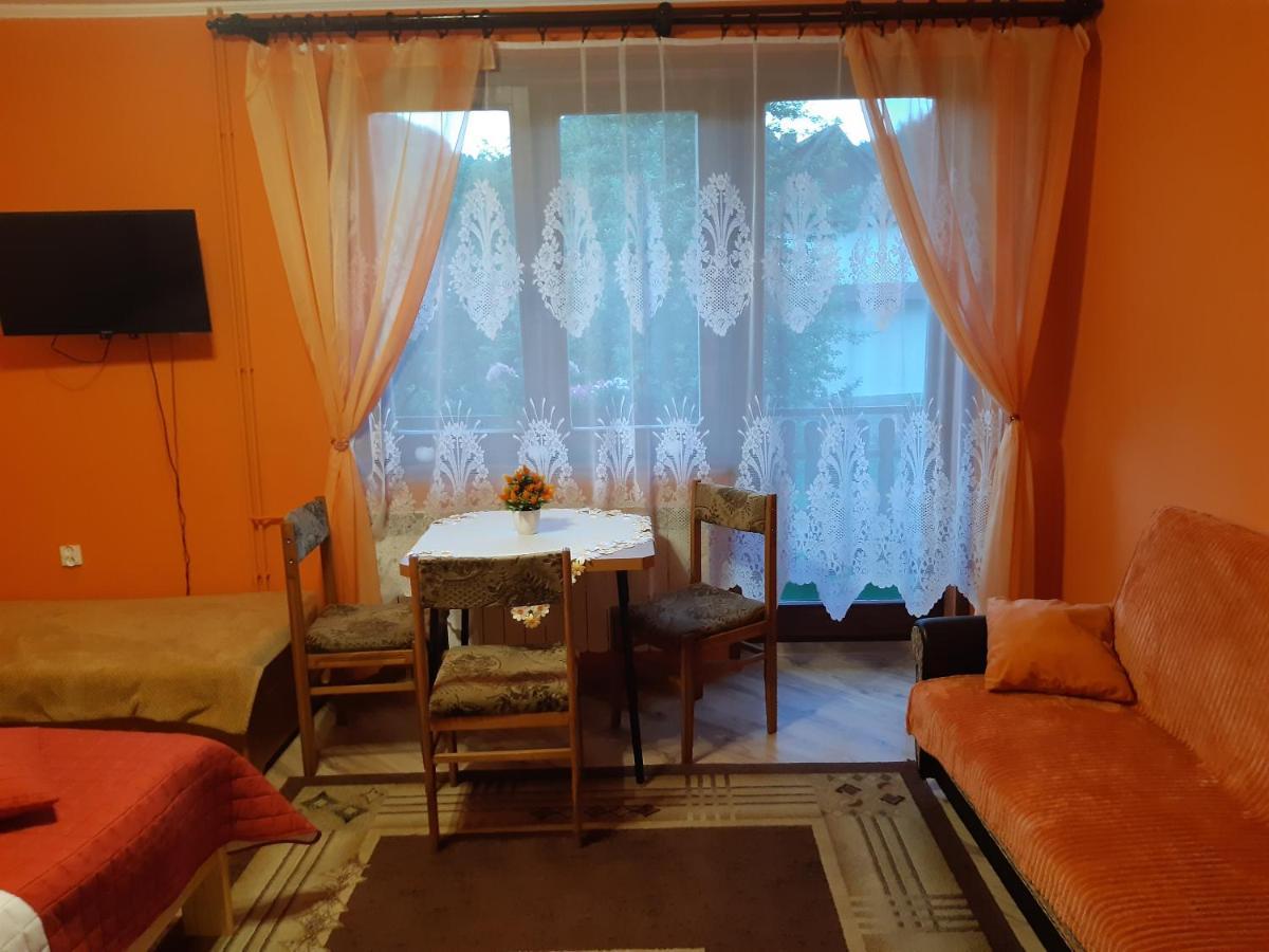 Willa Nad Dunajcem Sromowce Niżne Εξωτερικό φωτογραφία